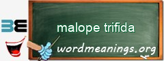 WordMeaning blackboard for malope trifida